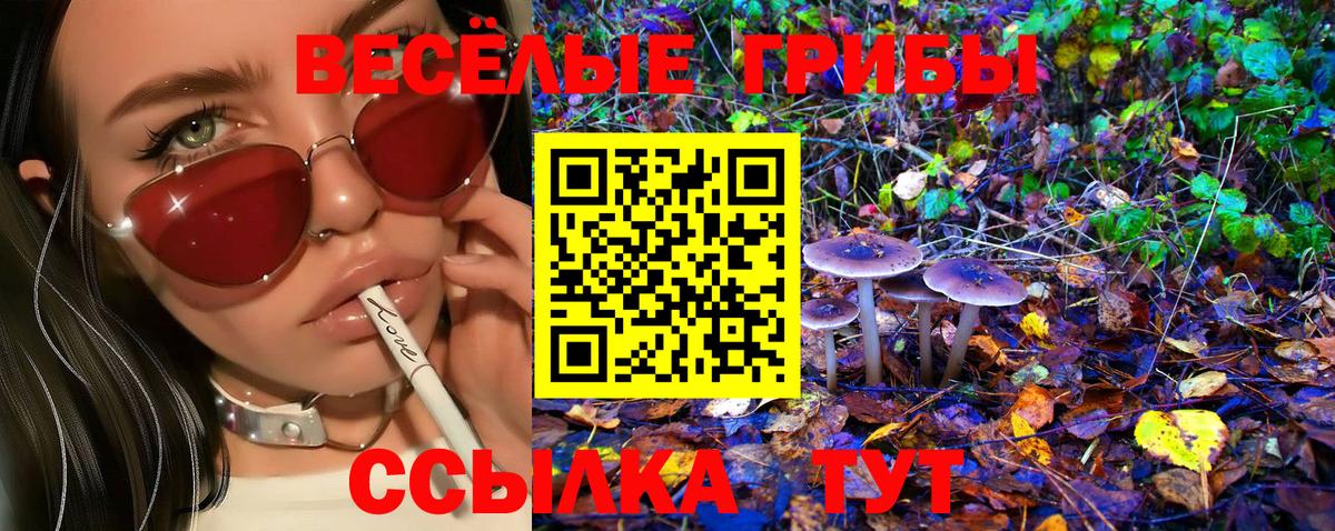 Галлюциногенные грибы Magic Shrooms  Вход с VPN  где найти   Сухой Лог 